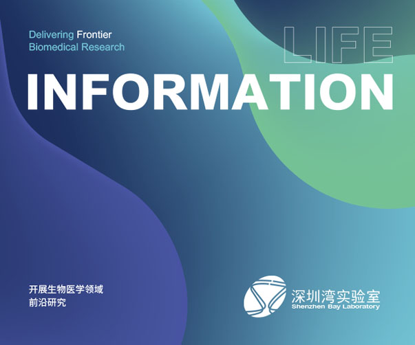 Melrose Coffee洋派咖啡廳品牌視覺(jué)識(shí)別與室內(nèi)設(shè)計(jì)